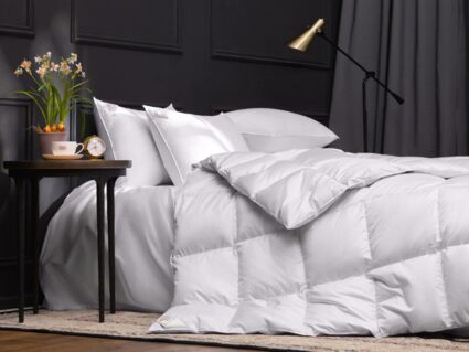 Одеяло German Grass EXCLUSIVE COTTON EIDER DOWN всесезонное 